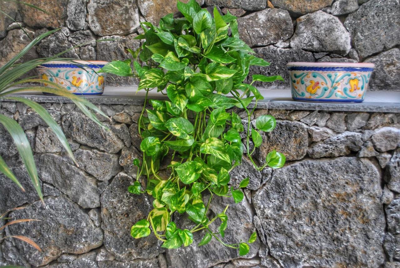 Villa Dedalisa By Holidayngo Acireale Bagian luar foto